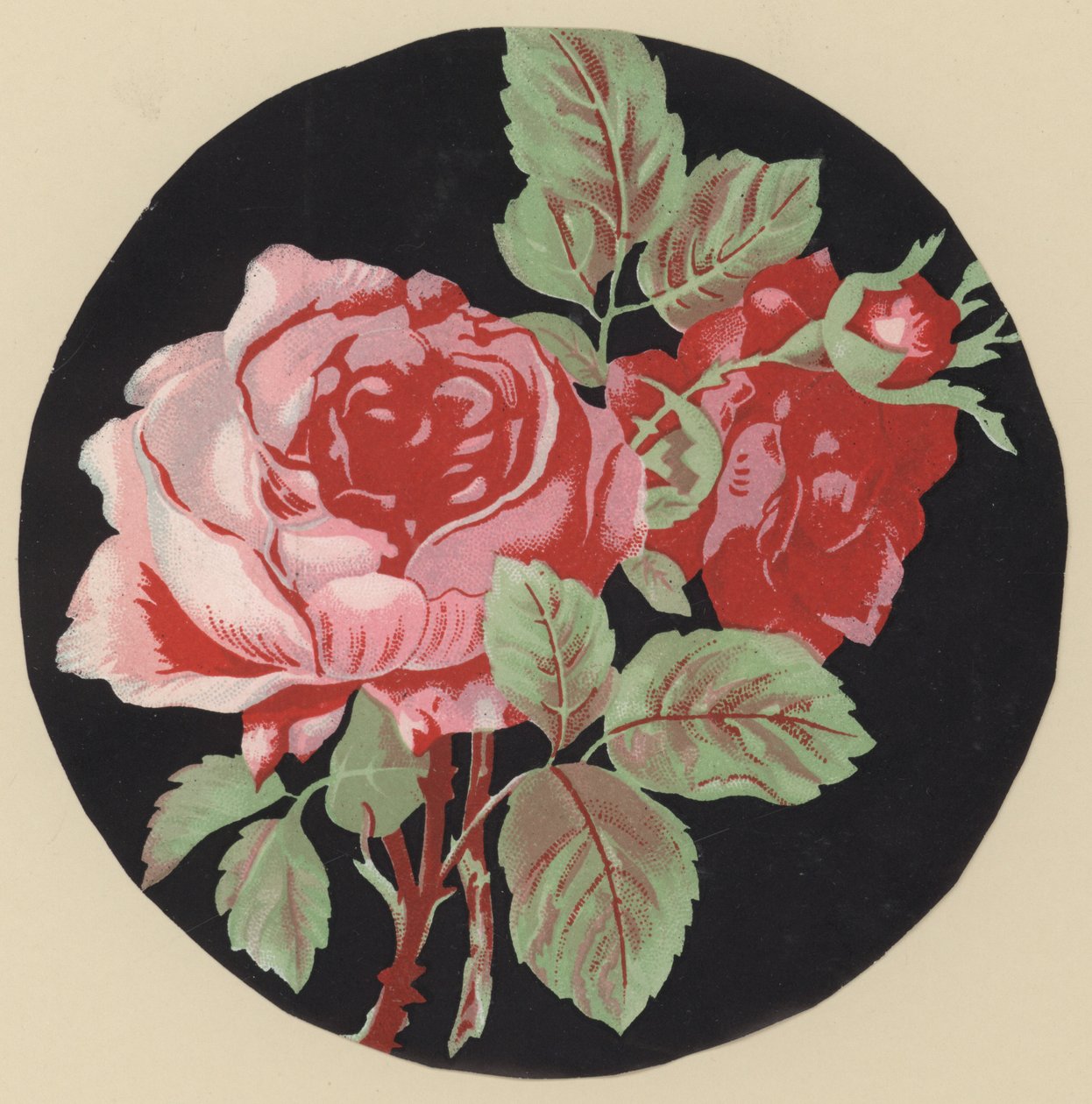 Roze (kleurenlitho) door European School