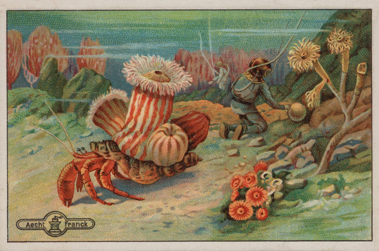 Scène op de zeebodem (chromolitho) door European School