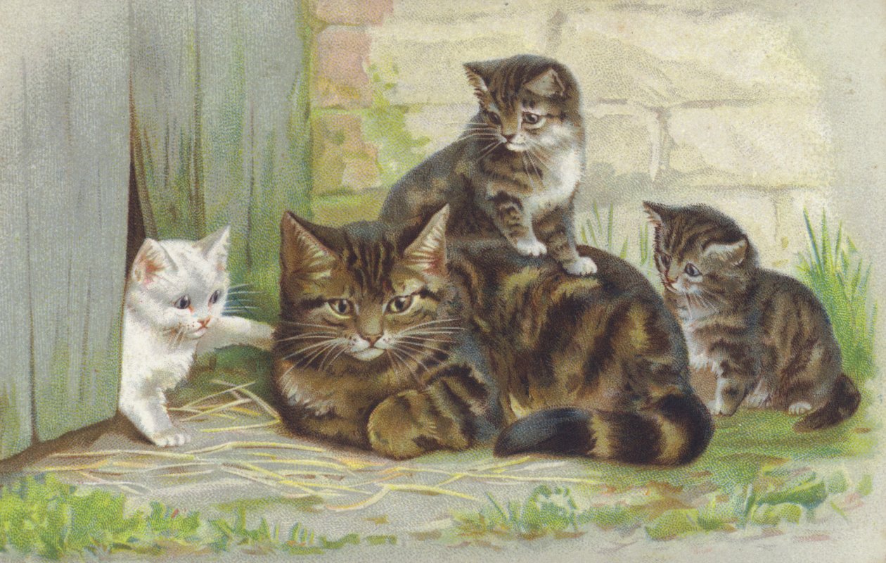 Tabby poes met drie kittens (chromolitho) door European School