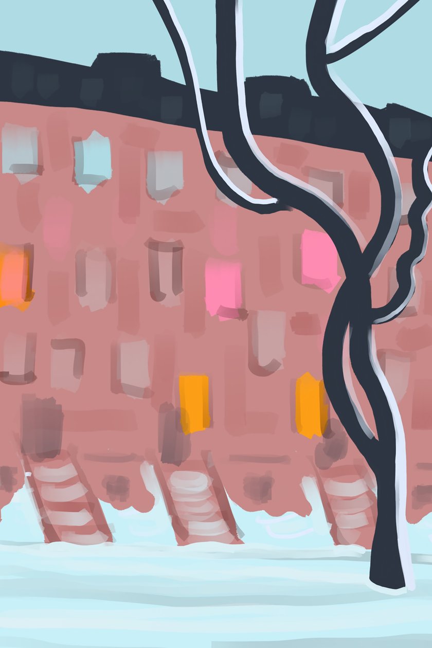 Brownstones in sneeuw (digitale kunst) door Evan Sklar