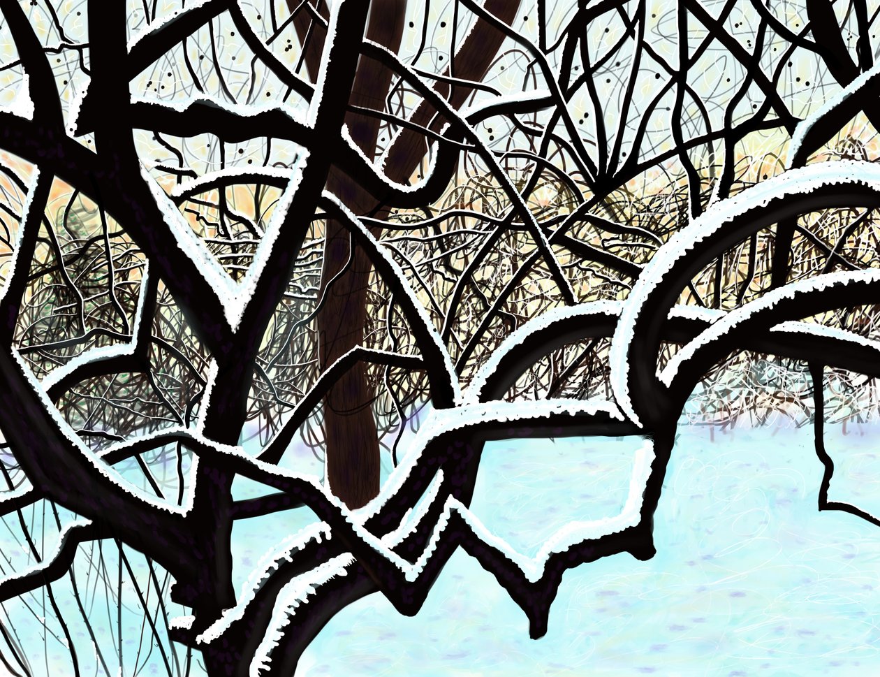 Kersenboom in sneeuw, Brooklyn (digitale kunst) door Evan Sklar