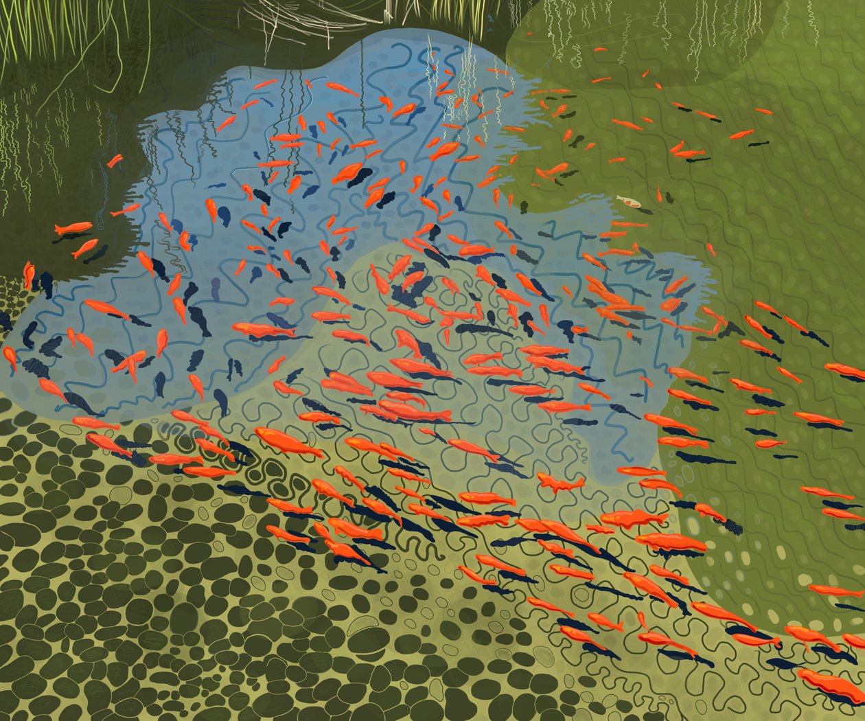 Koeienvijver bij botanische tuin (digitale kunst) door Evan Sklar