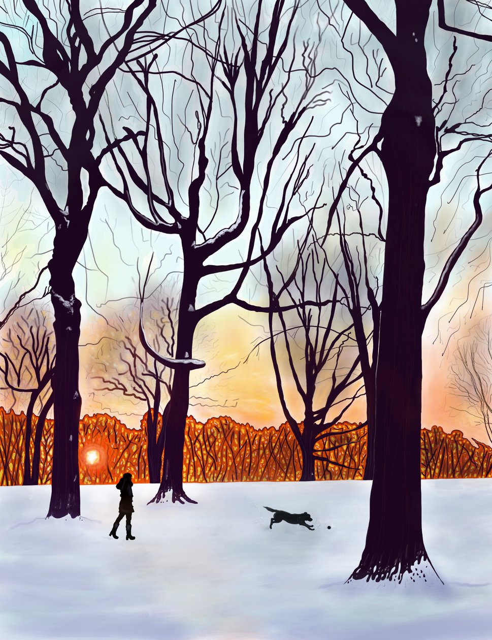 Hond in sneeuw, Brooklyn (digitale kunst) door Evan Sklar