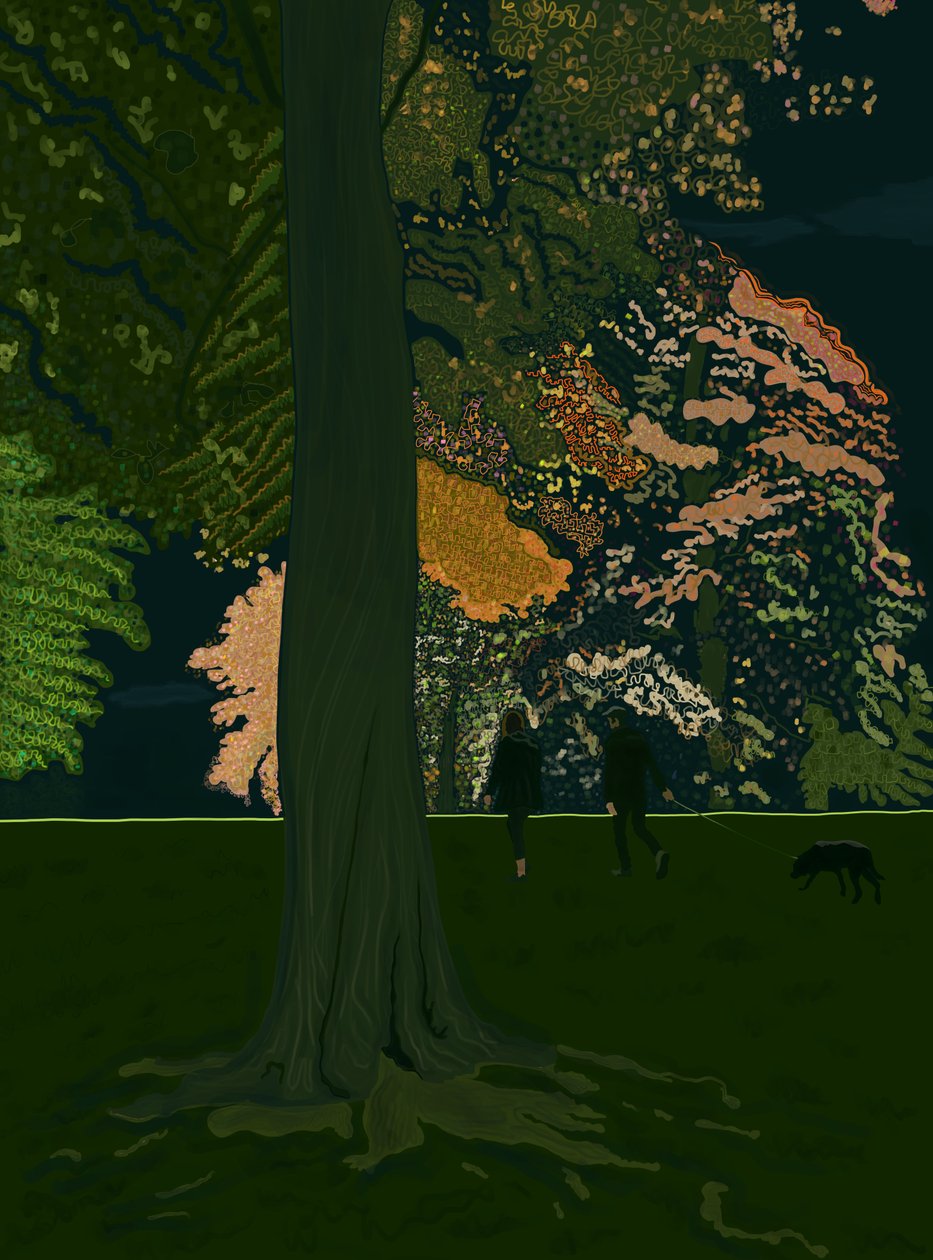Hondenwandeling bij nacht (digitale kunst) door Evan Sklar