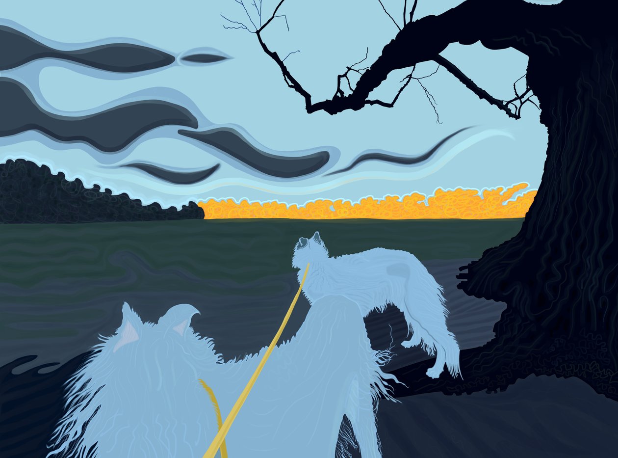 Honden in de schaduw, Brooklyn (digitale kunst) door Evan Sklar