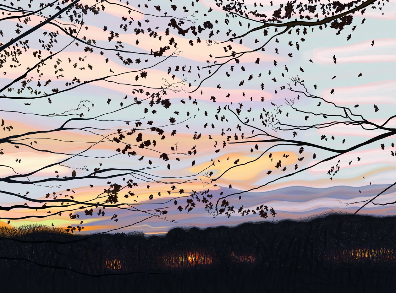Havik op tak, prospect park (digitale kunst) door Evan Sklar