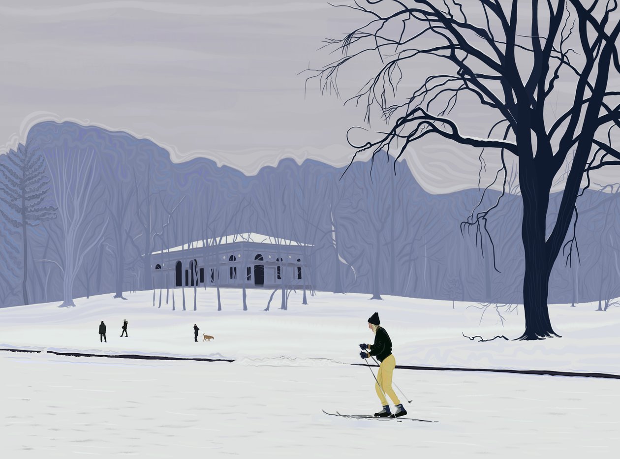 Skiër, Prospect Park , Brooklyn (digitale kunst) door Evan Sklar
