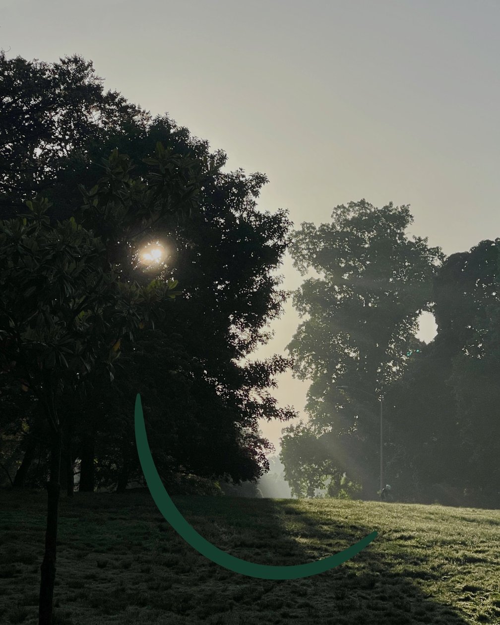 Lachende zonsopgang, c.2020-24 (digitale kunst) door Evan Sklar