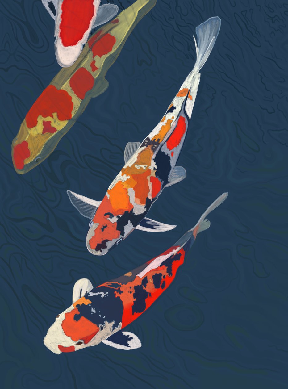 Drie Koi (digitale kunst) door Evan Sklar