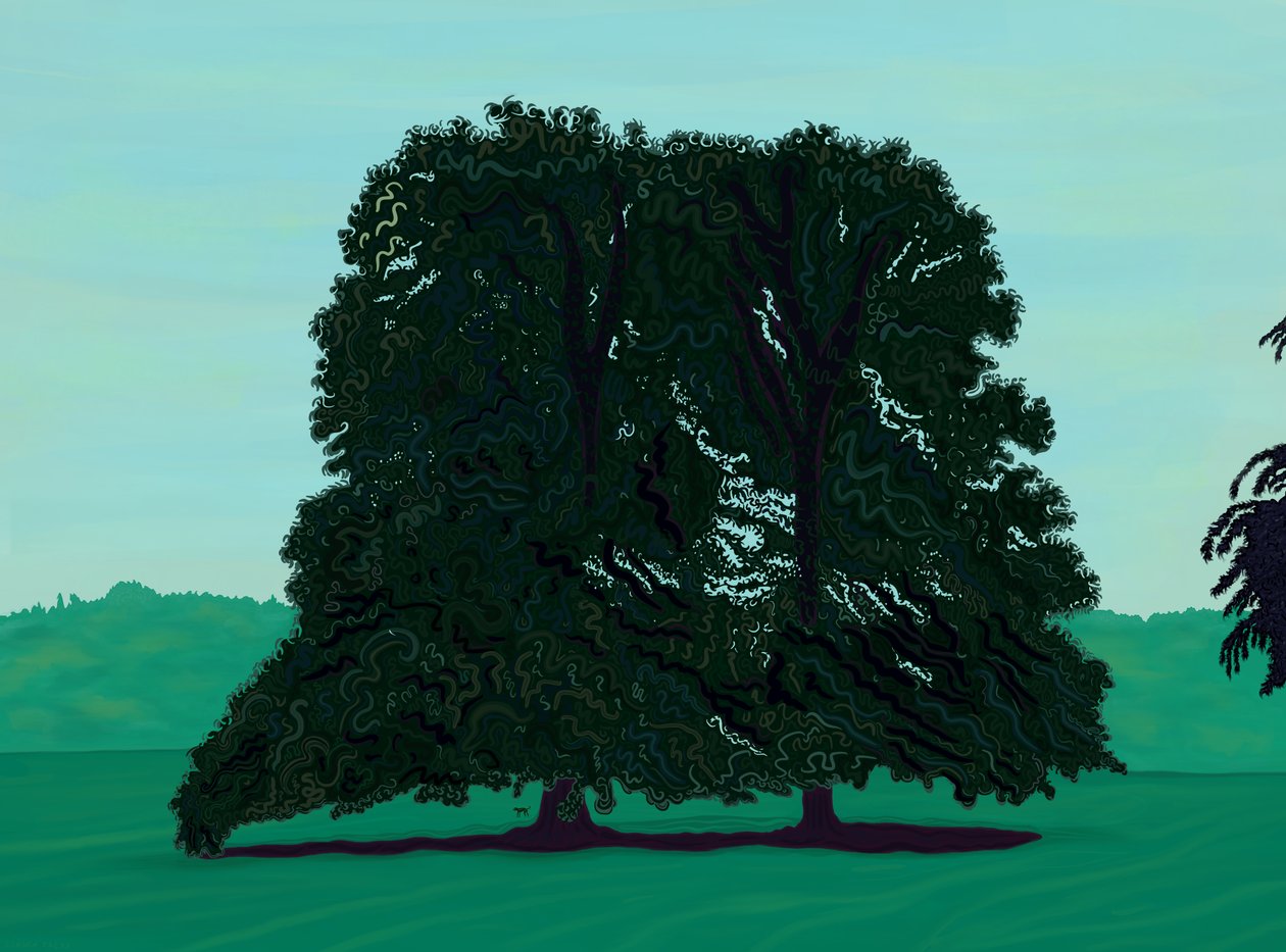 Two Lindsen Trees In Field (digital art) door Evan Sklar