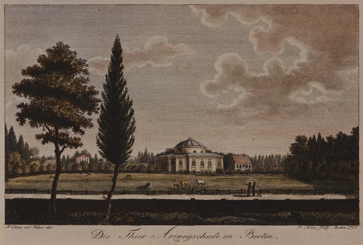 De Veterinaire School, Berlijn, 1795 door F.A. Calau