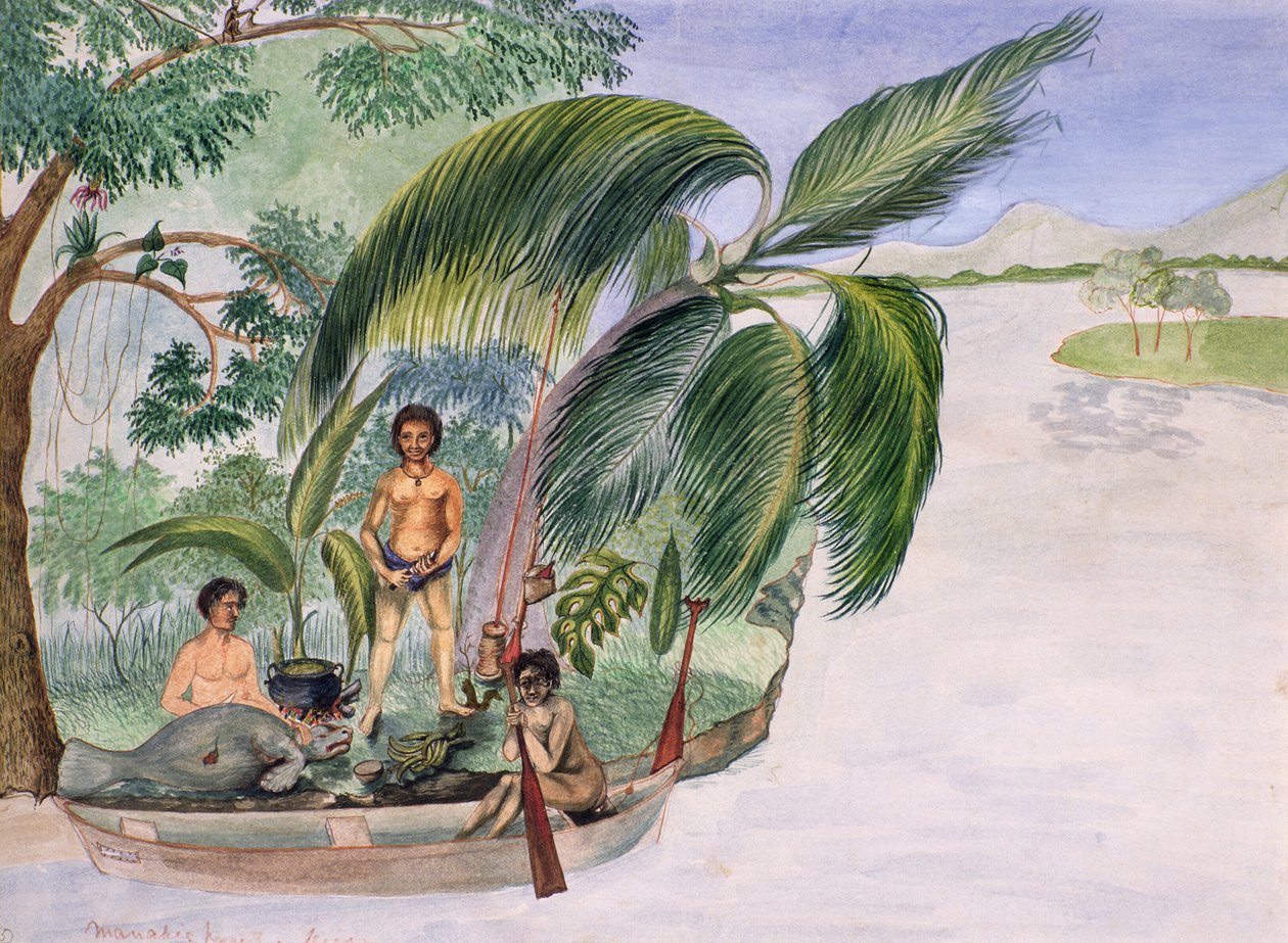 Manati-jacht door F. Deiezmann