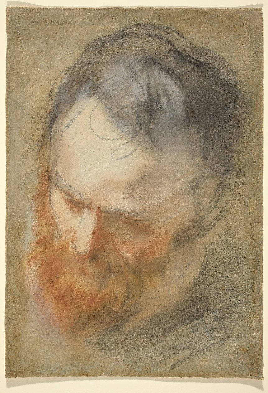 Hoofd van een Bebaarde Man door Federico Barocci