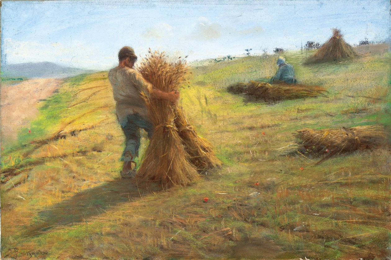 Graanoogst door Federigo Rossano