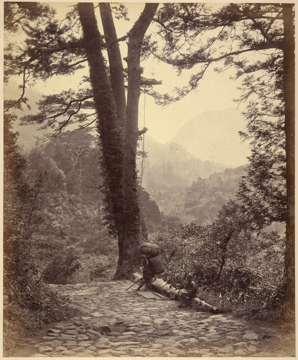 Uitzicht op de Hakone Pas door Felice Beato