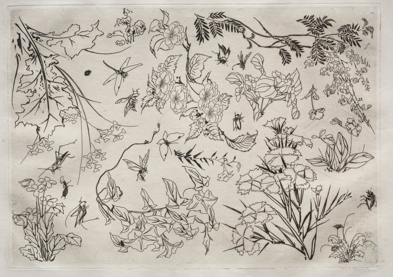 Dinerservies (Rousseau servies): Bloemen (nr. 22) door Felix Bracquemond
