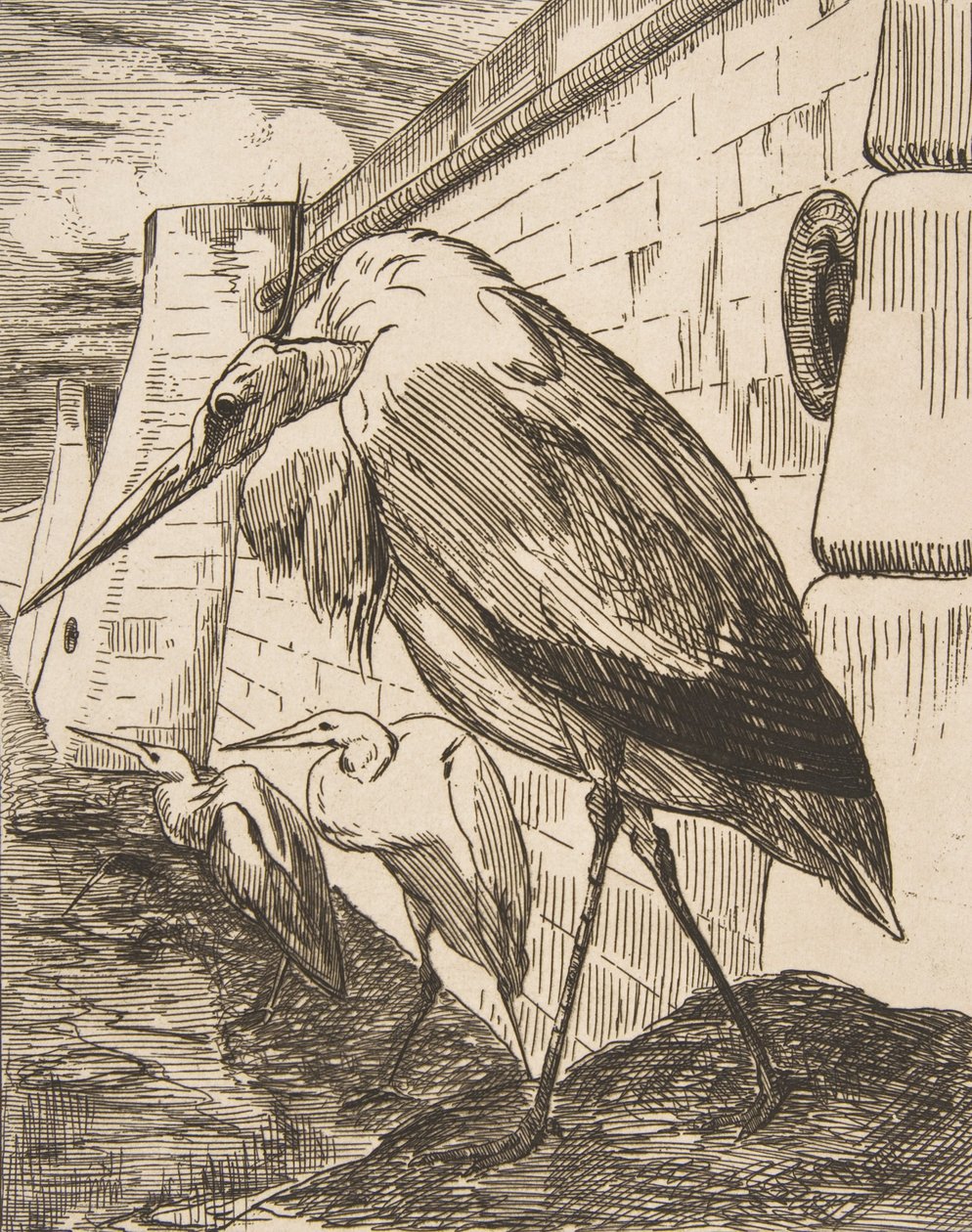 De ooievaars door Felix Bracquemond