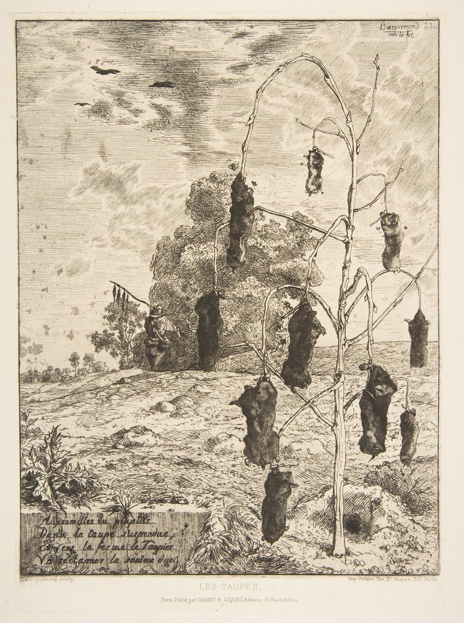 Les Taupes, 1854 door Felix Bracquemond
