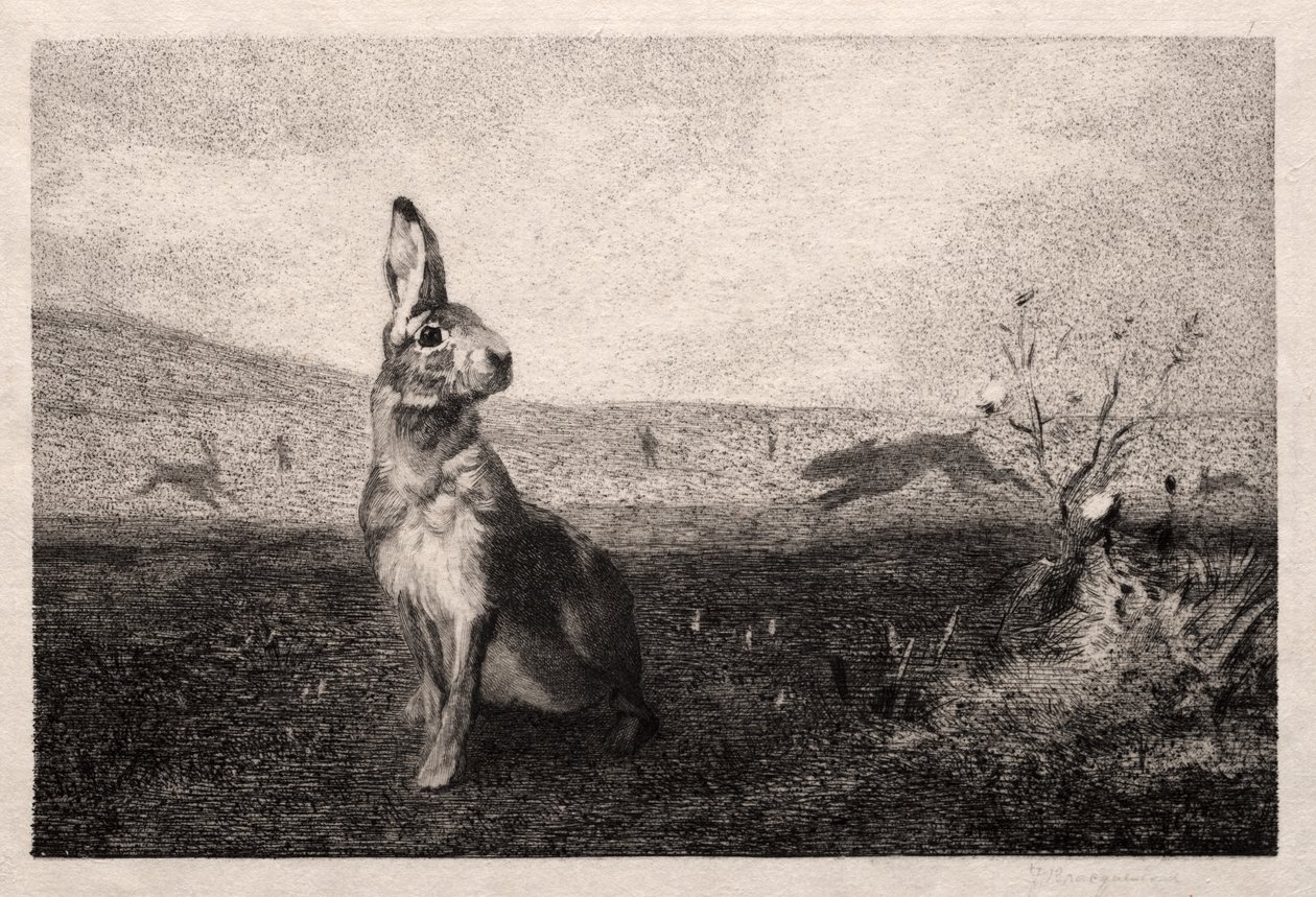 De Haas (naar A. de Balleroy) door Felix Bracquemond