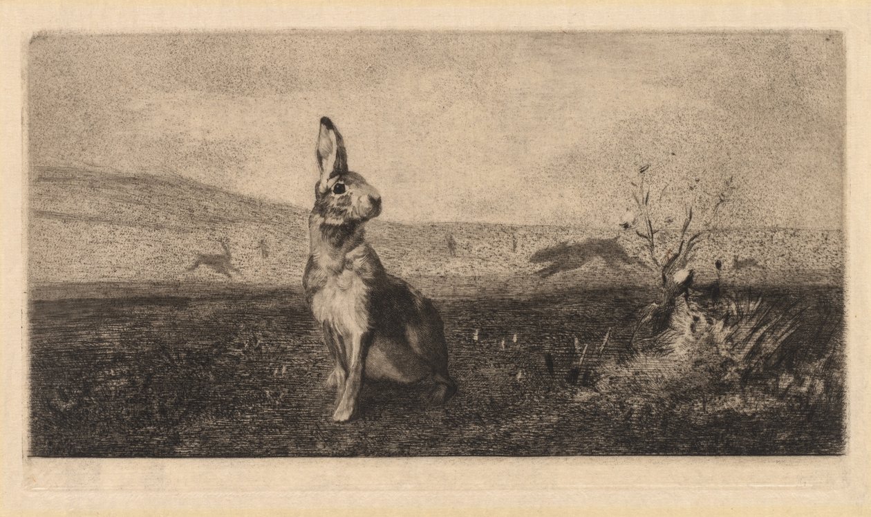 De Haas, 1865 door Felix Bracquemond
