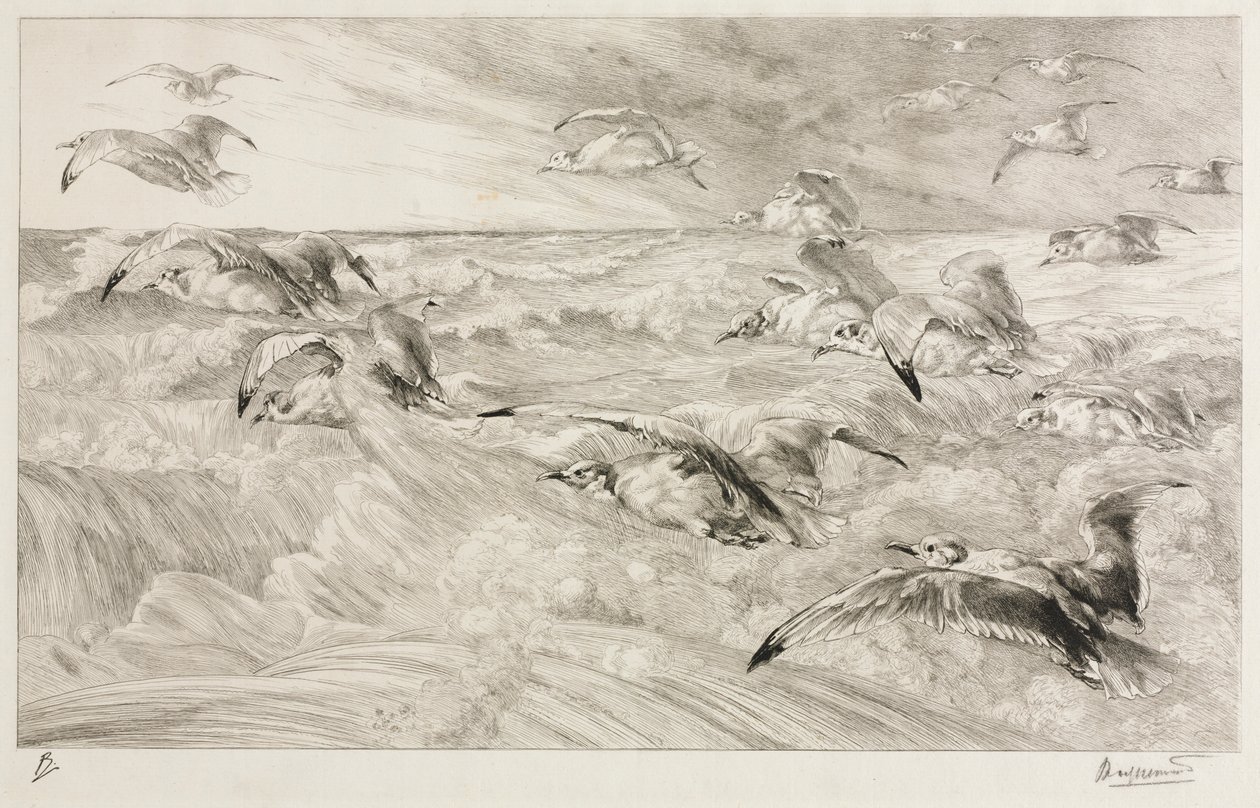 De Meeuwen, c. 1880 door Felix Bracquemond