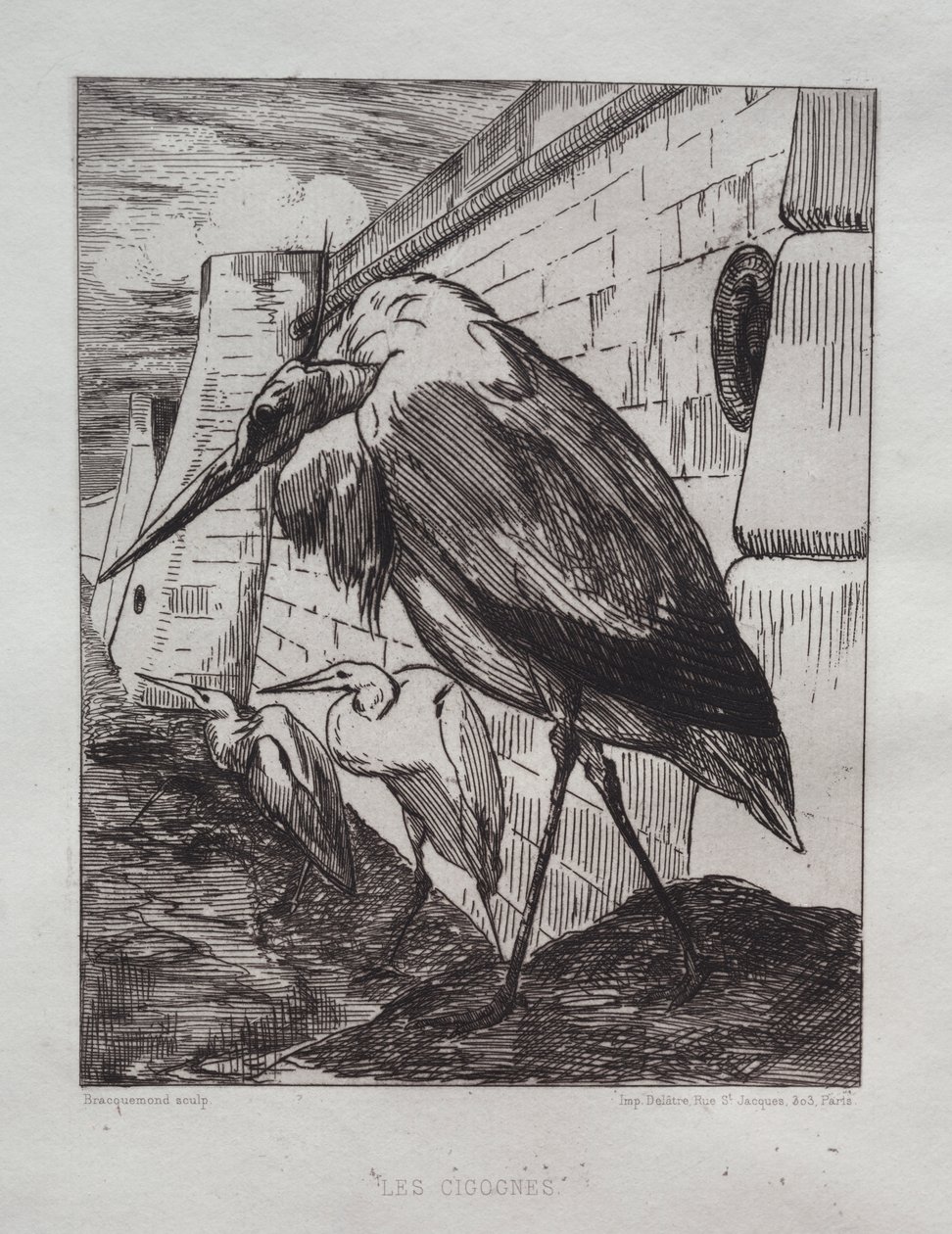 De Ooievaars door Felix Bracquemond