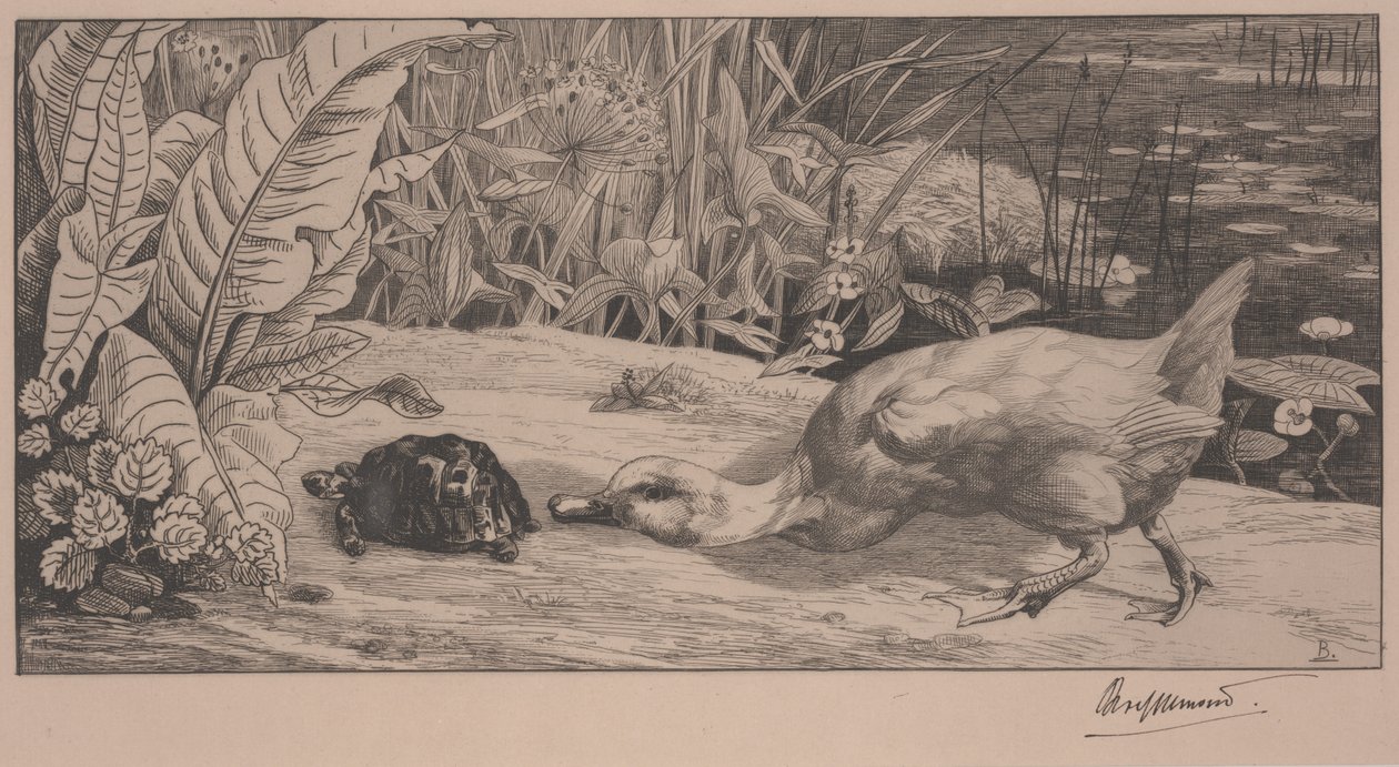 De Onbekende door Felix Bracquemond