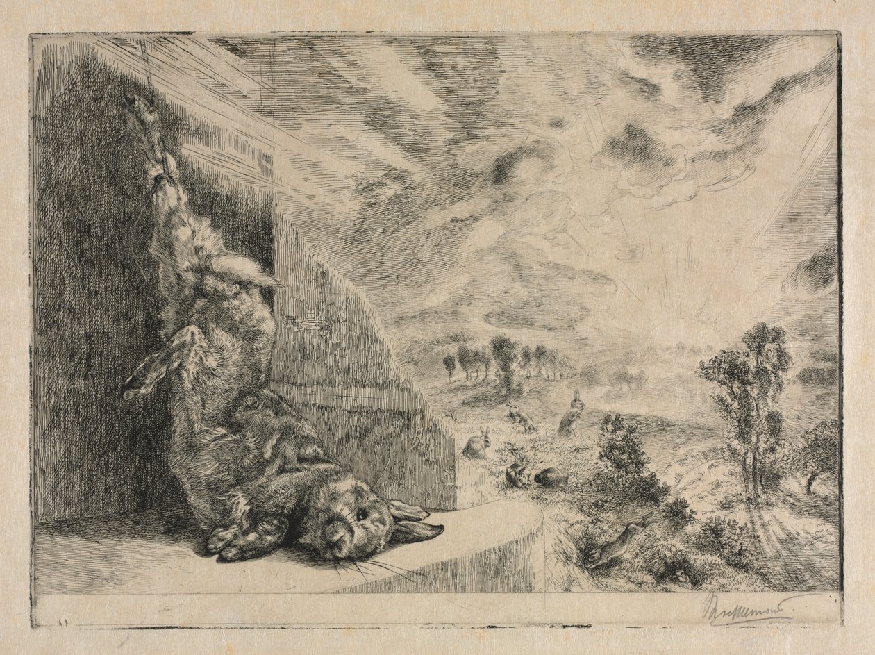 Het wilde konijn door Felix Bracquemond