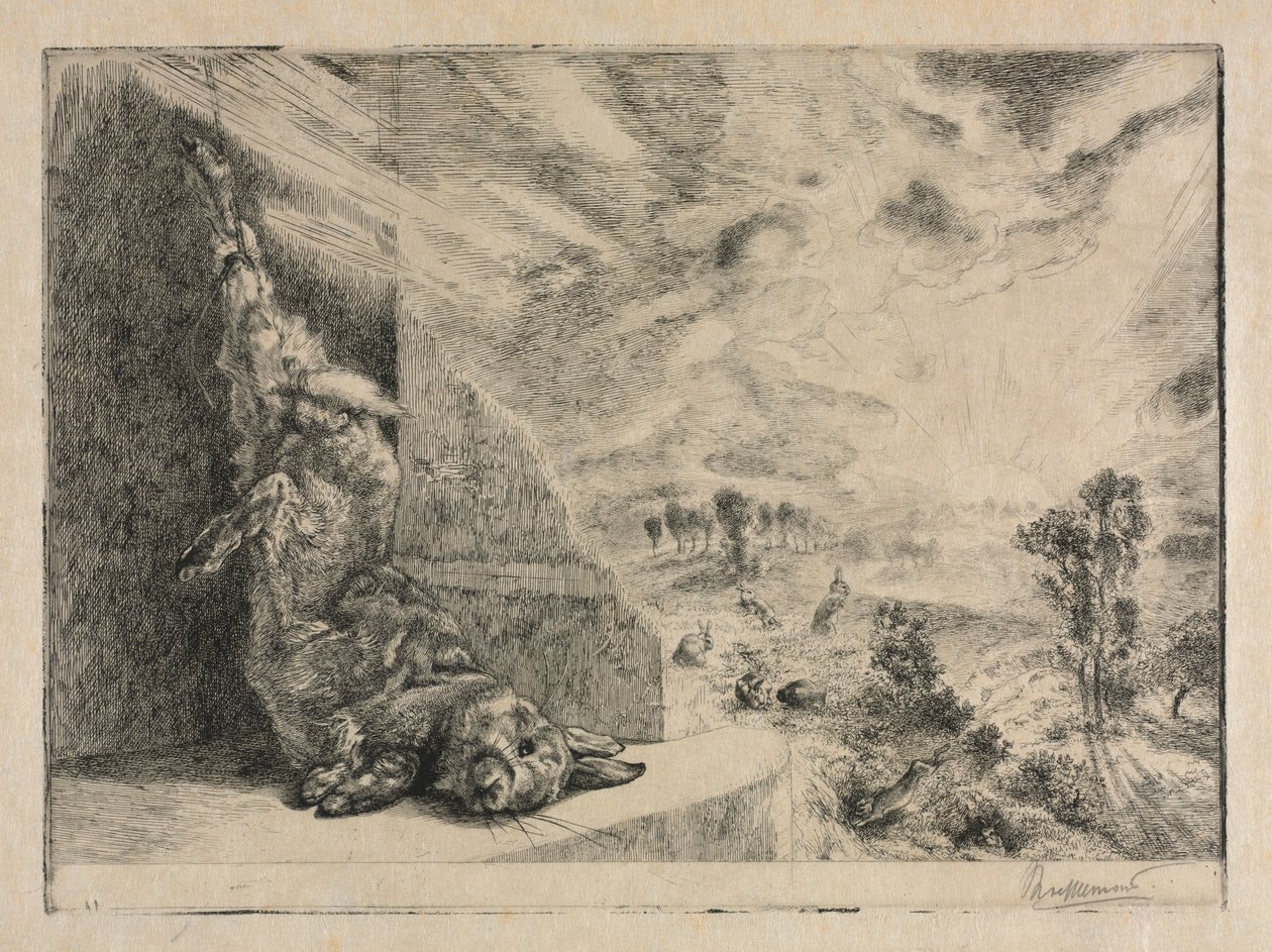 Het wilde konijn door Felix Bracquemond