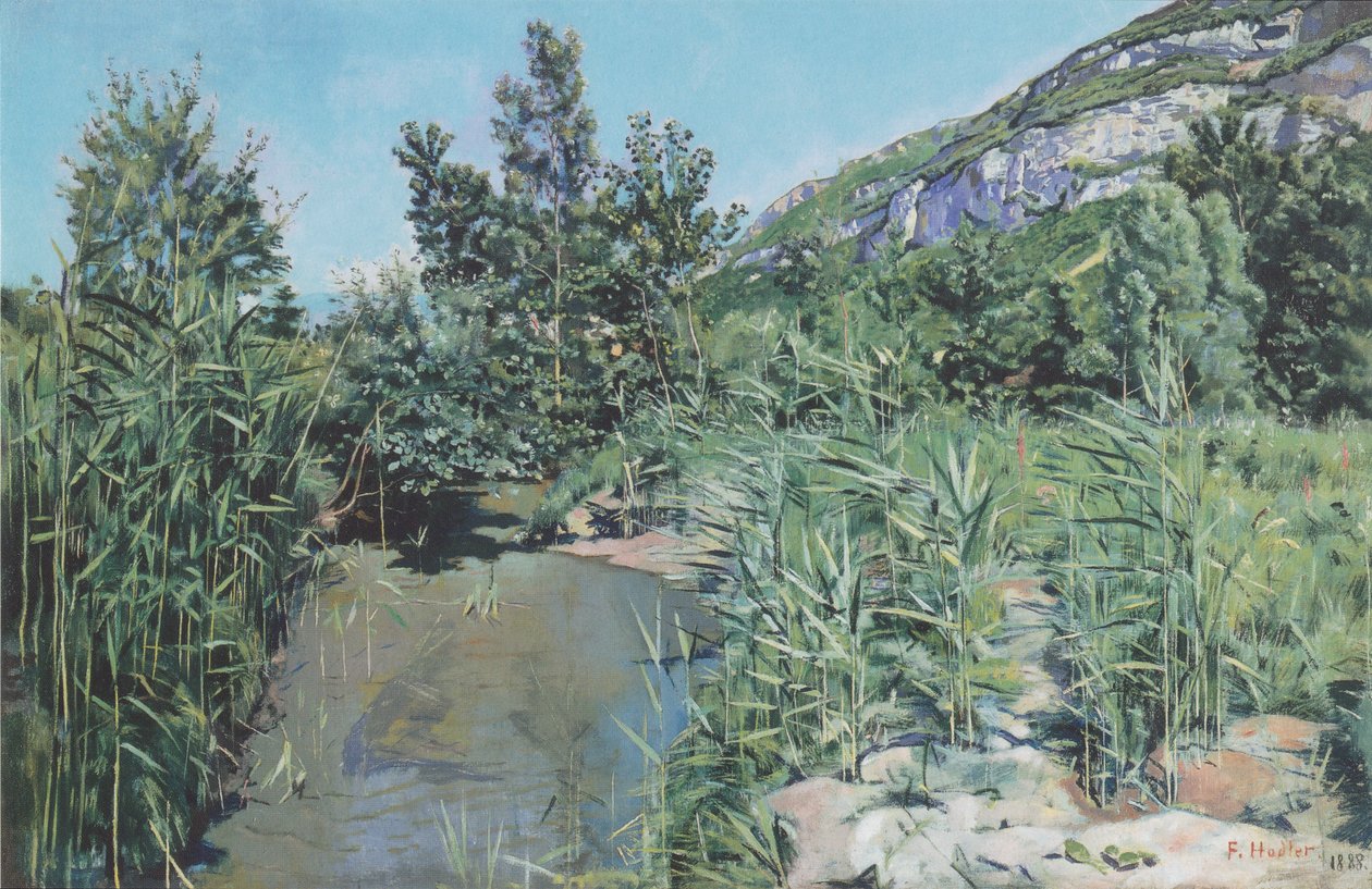 Aan de Voet van de Salève door Ferdinand Hodler