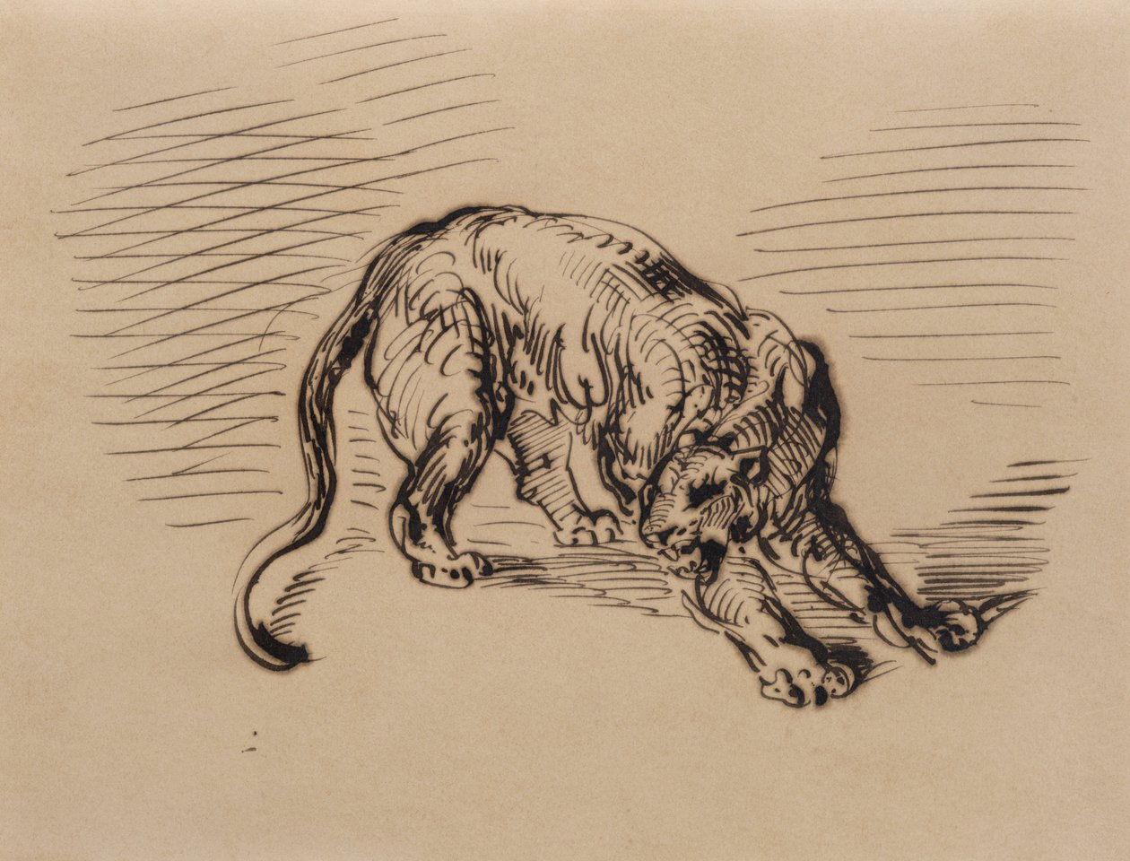 Tijger geschrokken door een slang, 1858 door Ferdinand Victor Eugene Delacroix