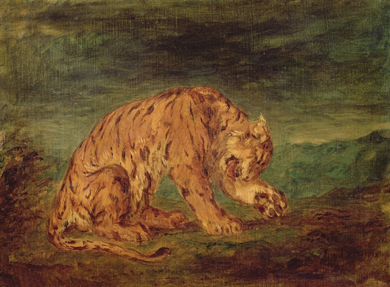 Tijger likt een poot door Ferdinand Victor Eugene Delacroix