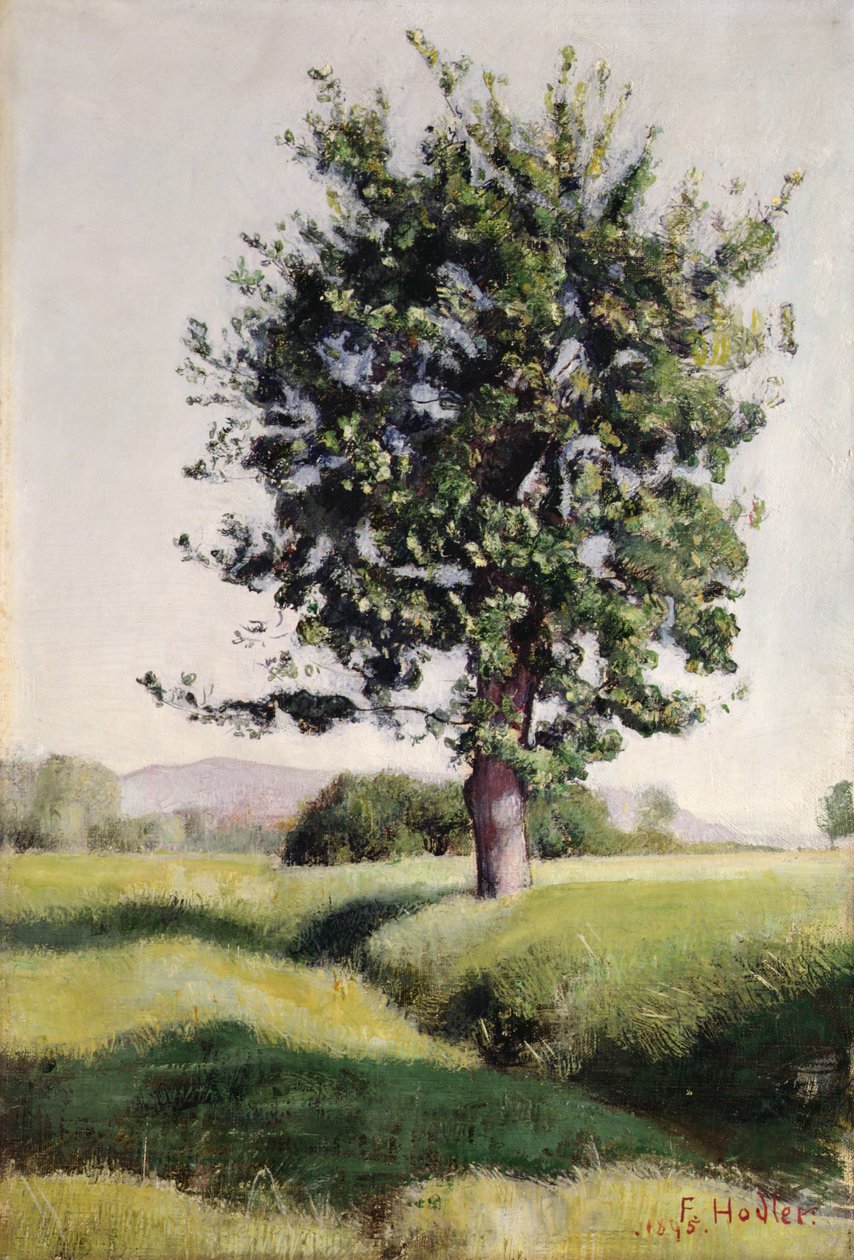 De Boom door Ferdinand Hodler