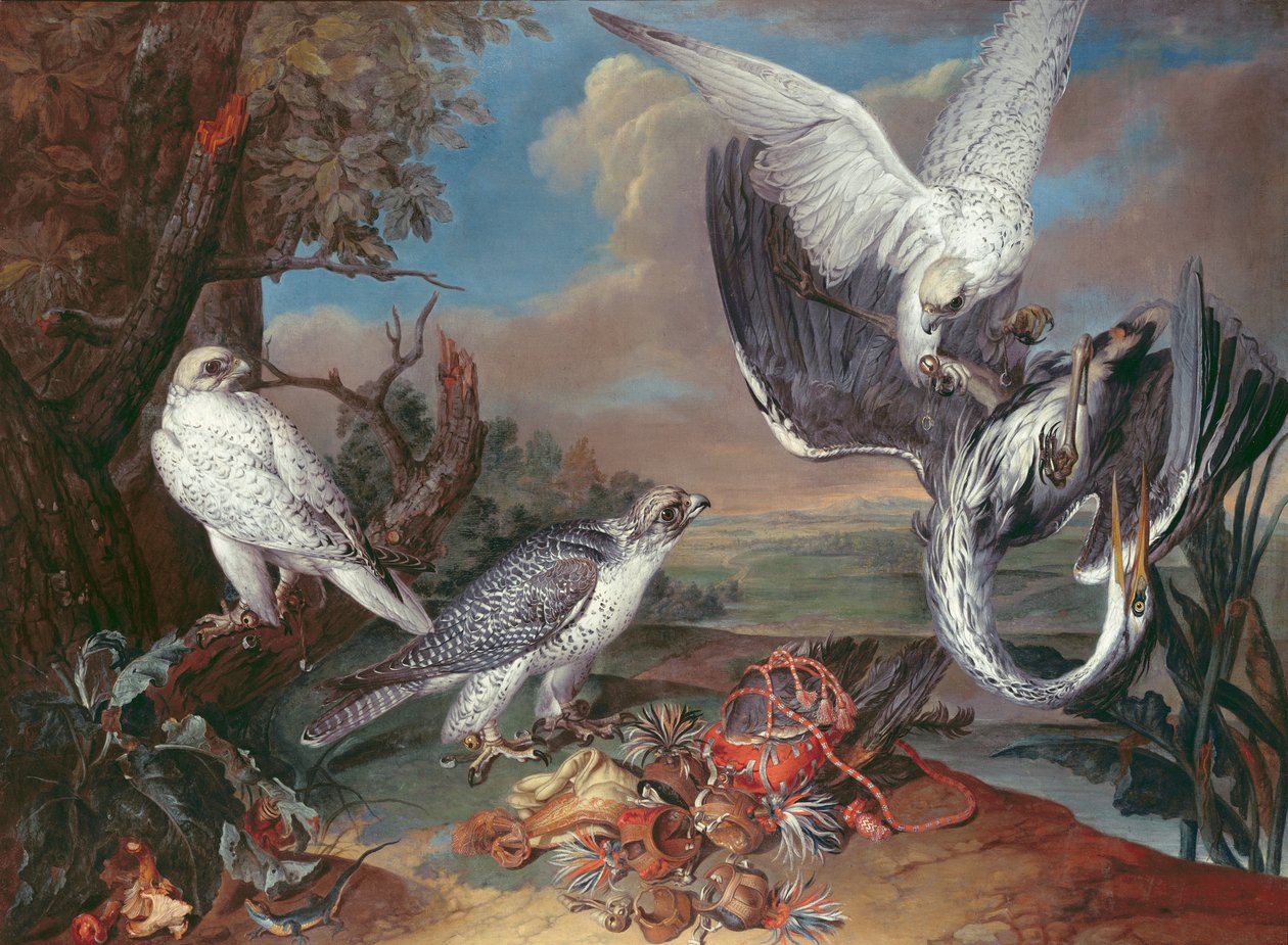 Groenlandse Cyr Valken door Ferdinand Phillip de Hamilton
