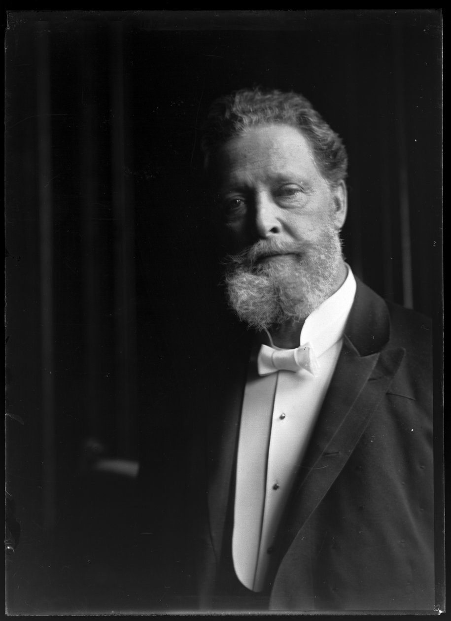 Afbeelding van Charles Lueger (1897-1910) door Ferdinand Schmutzer