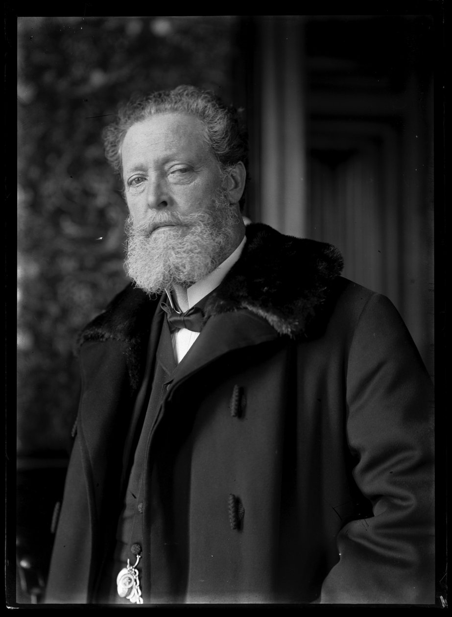 Afbeelding van Charles Lueger (1897-1910) door Ferdinand Schmutzer
