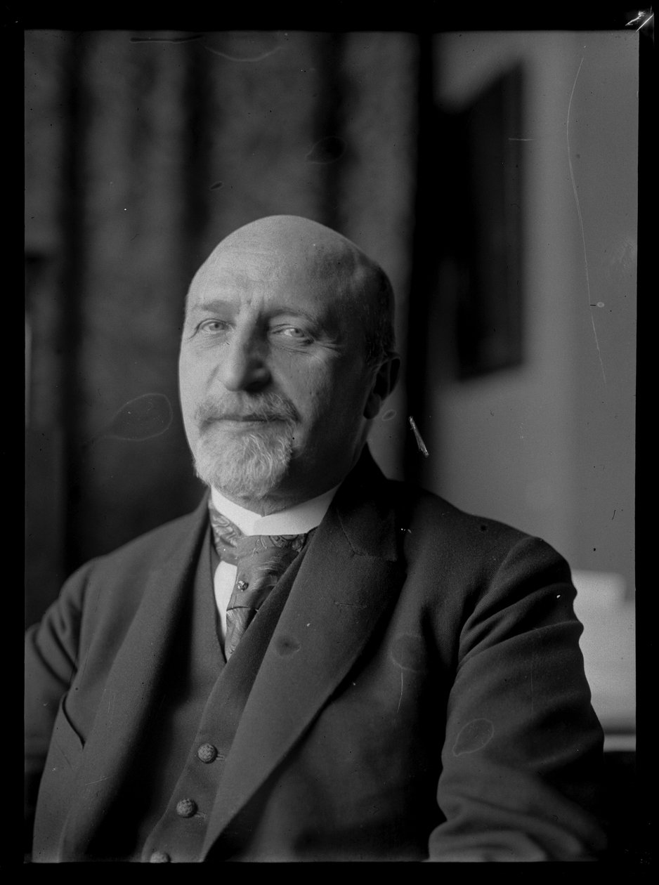 Afbeelding van Karl Seitz (1869-1950) door Ferdinand Schmutzer