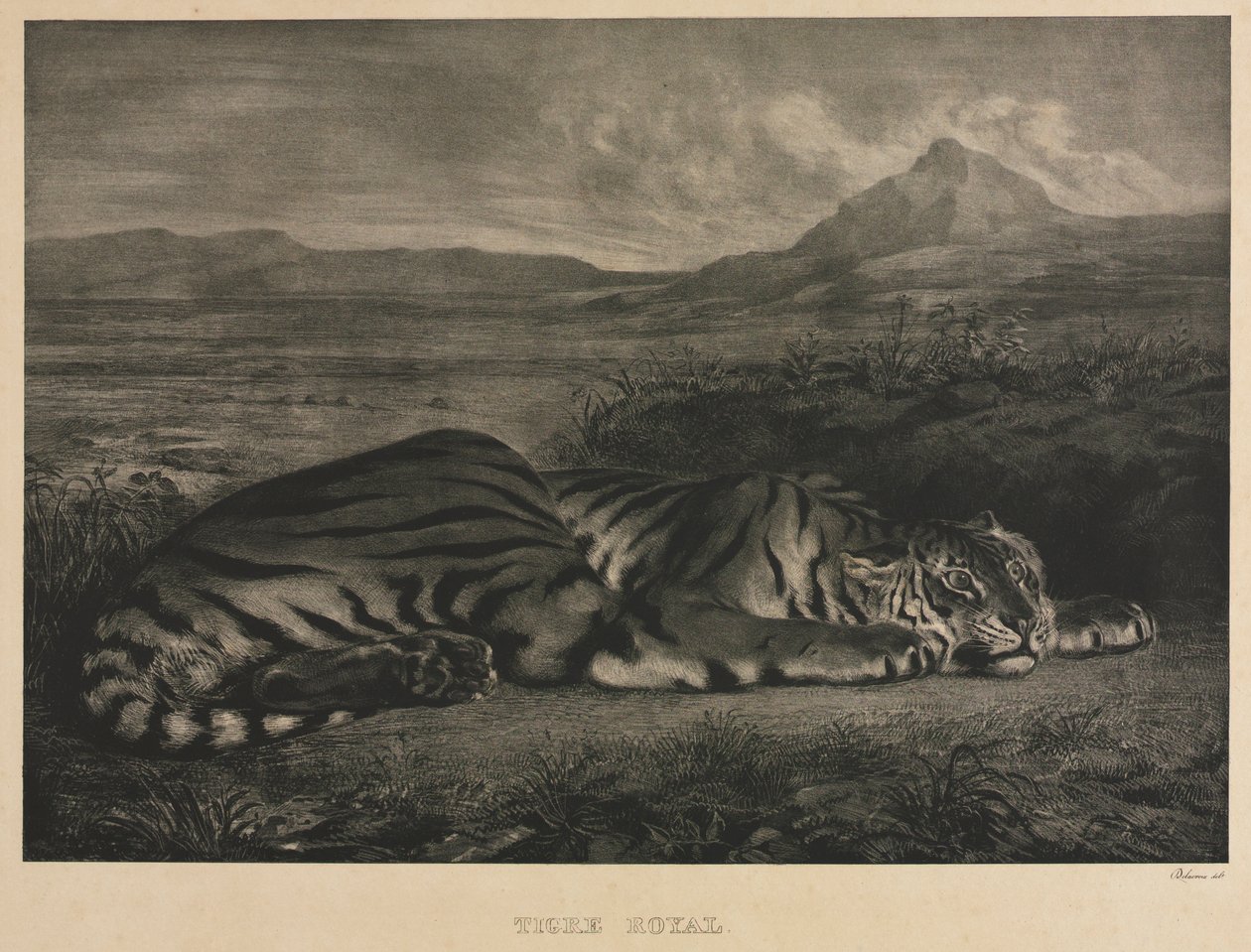 Tigre Royal door Ferdinand Victor Eugene Delacroix