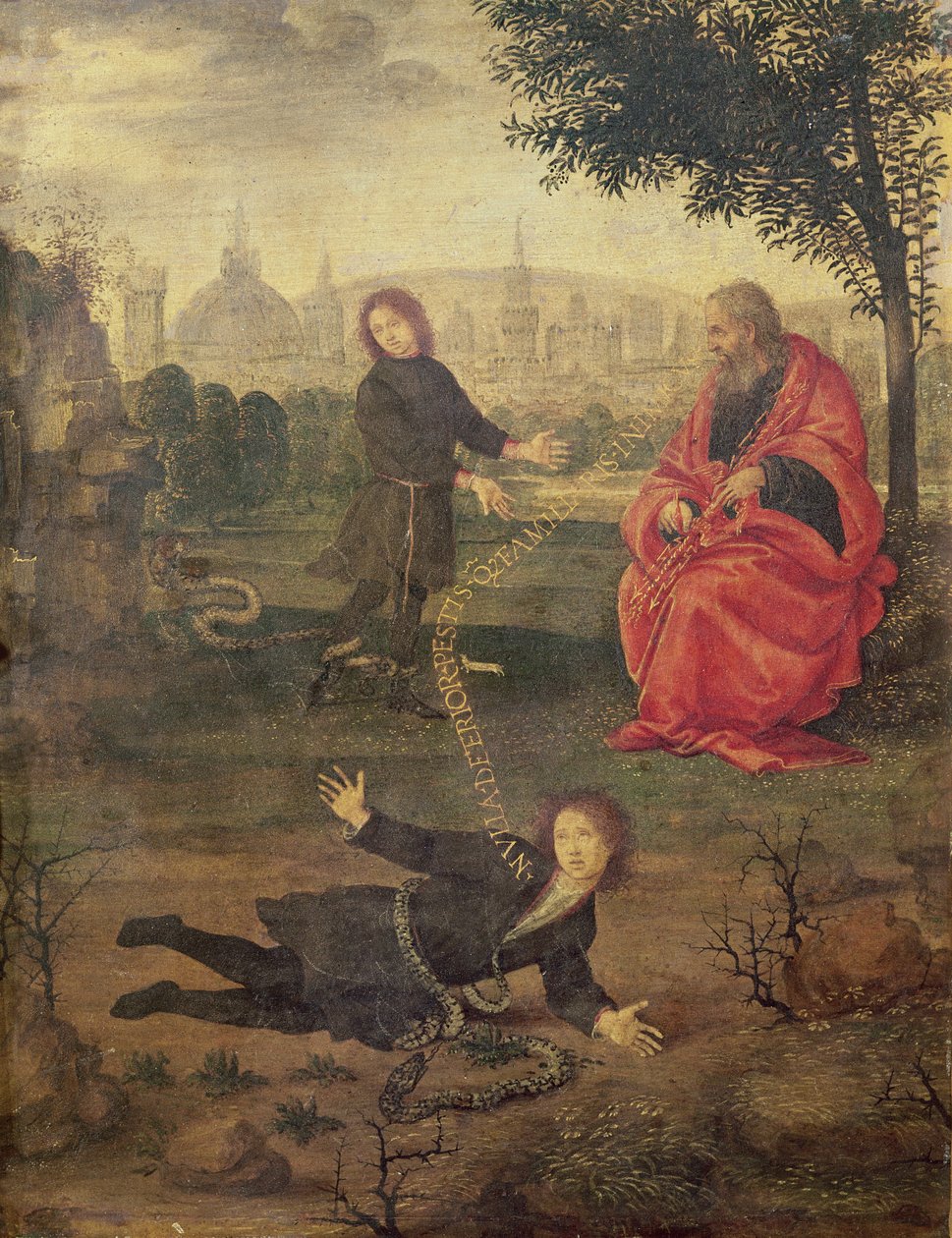 Allegorie, ca. 1485-90 door Filippino Lippi