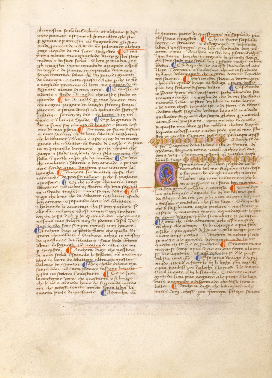 Fiore dei Liberi door Fiore dei Liberi