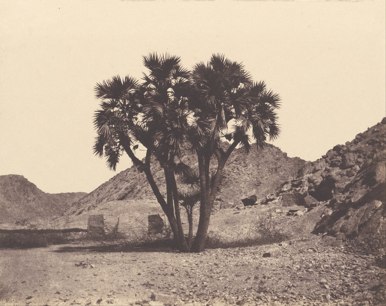 Egypte en Nubië. Sites en monumenten door Félix Teynard