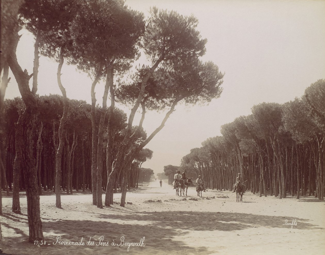 Promenade des Pins in Beiroet door Félix Bonfils