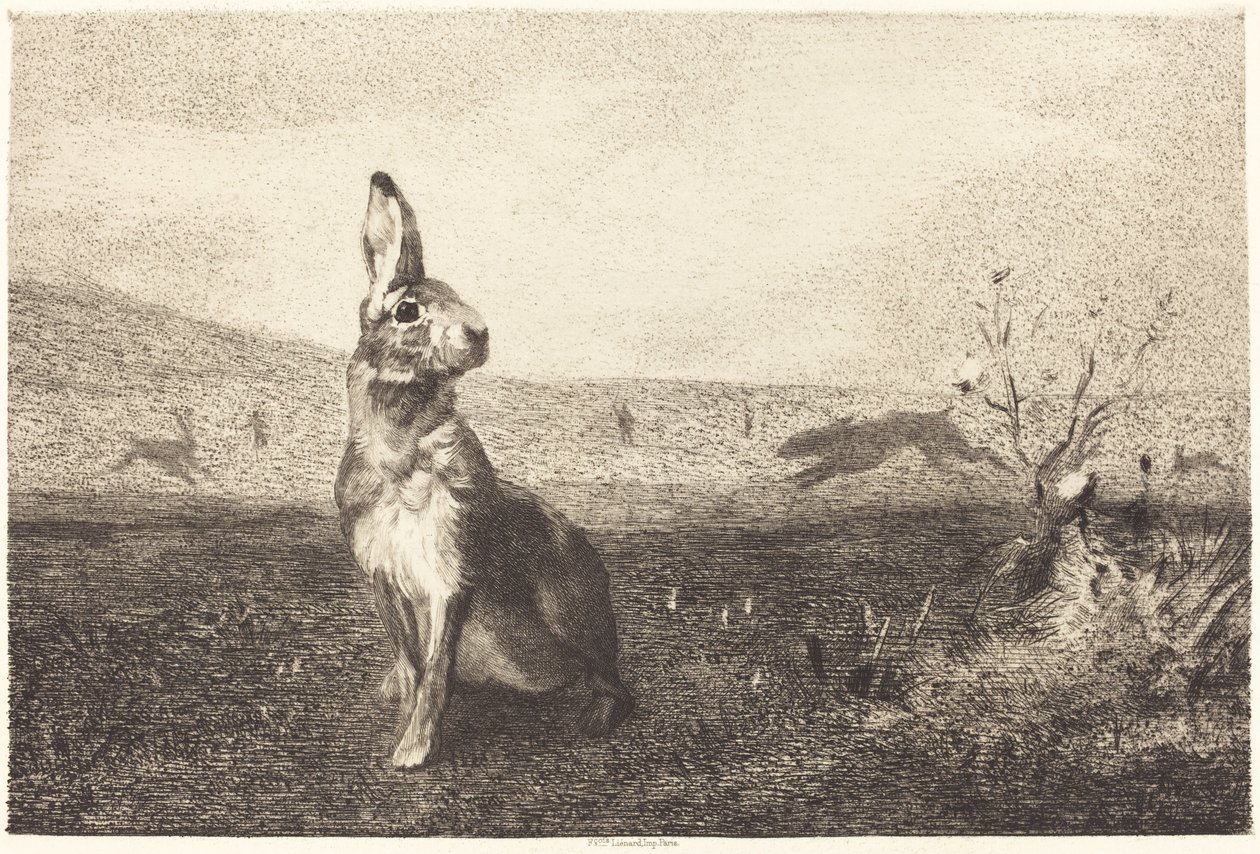 De Haas door Félix Bracquemond after Albert de Balleroy