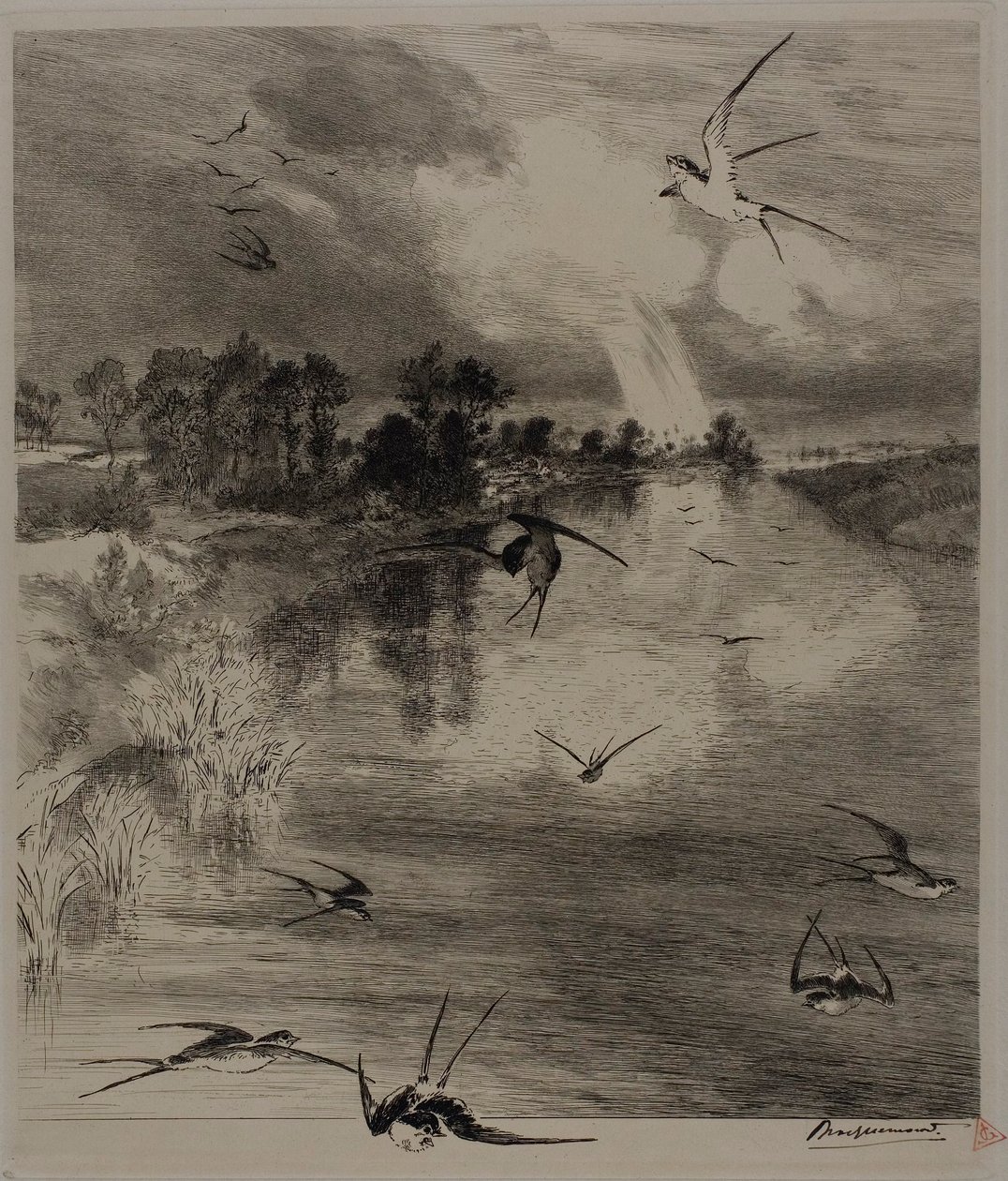 Zwaluwen door Félix Henri Bracquemond
