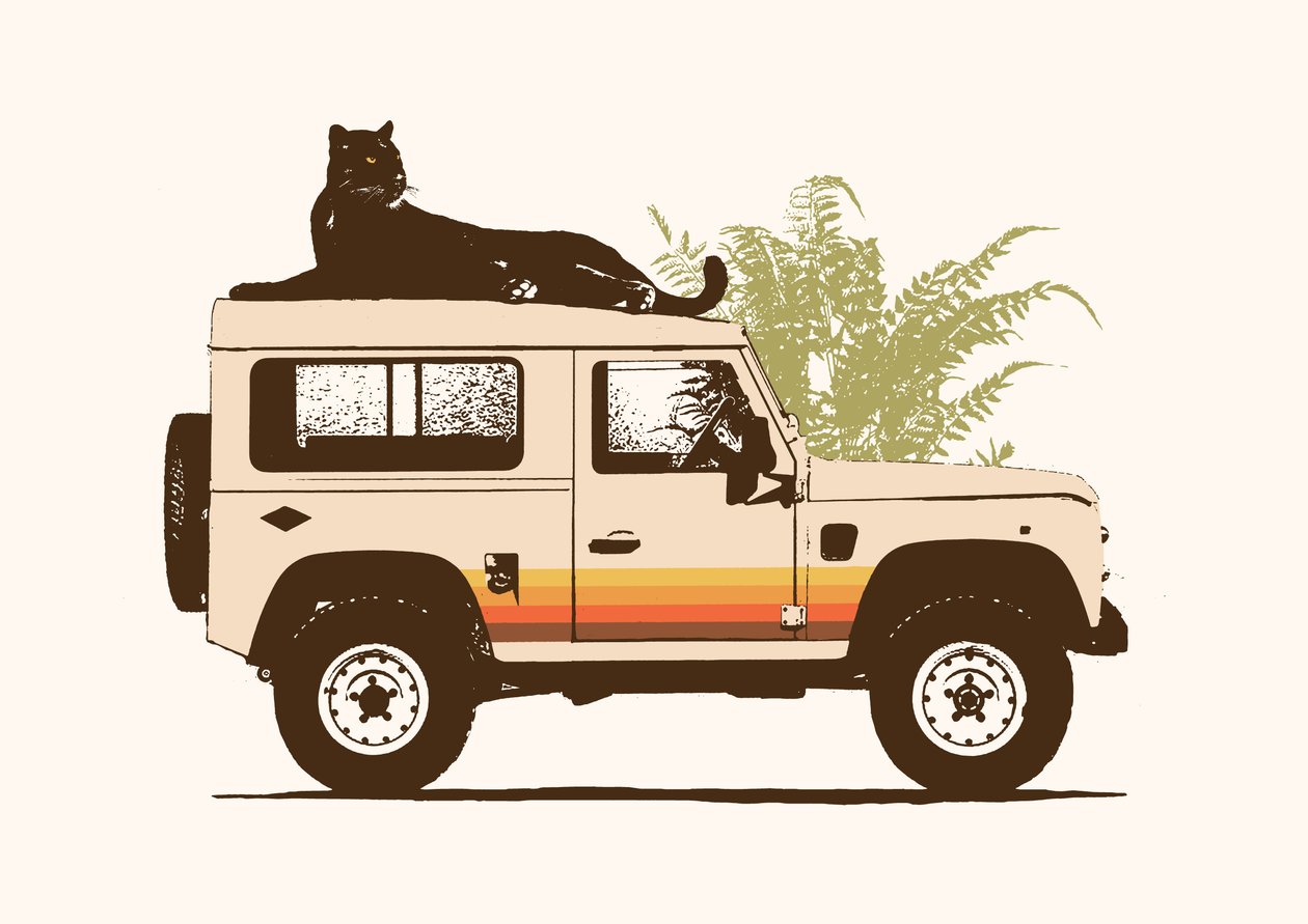 Zwarte panter op auto door Florent Bodart