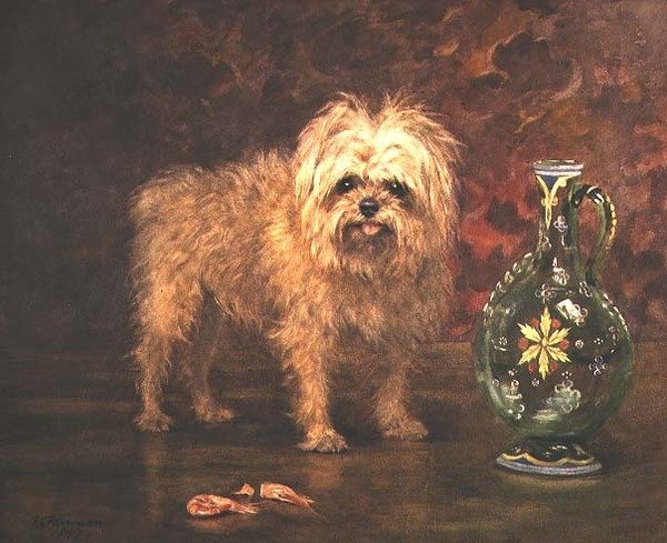 Leeuw door Frances C. Fairman