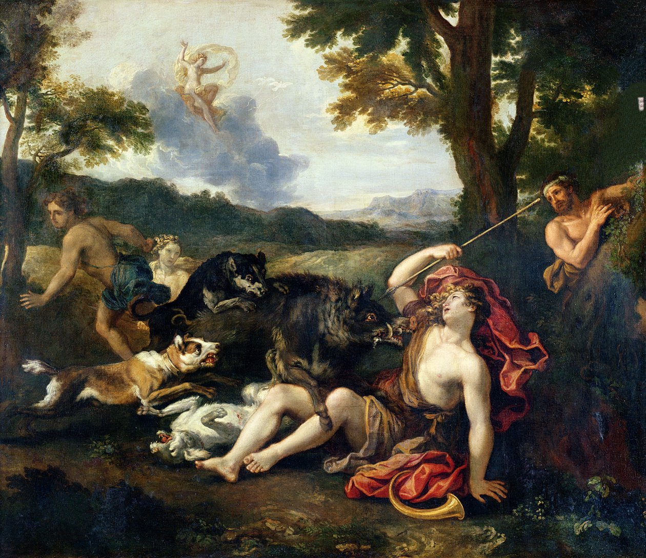 Adonis gedood door een wild zwijn door Francesco Albani