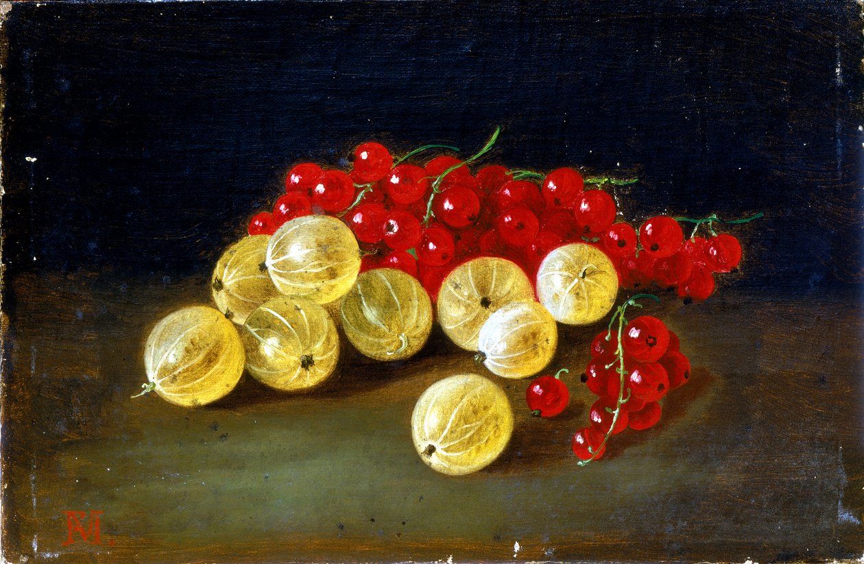 Druiven van Sint Jan door Francesco Malacrea