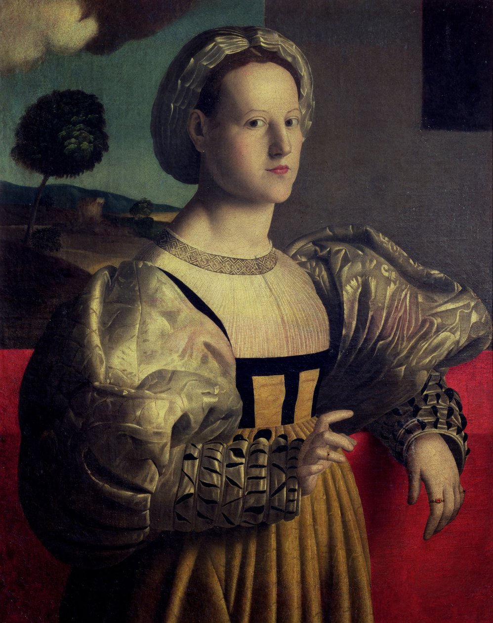 Portret van een dame door Francesco Ubertini Verdi Bachiacca