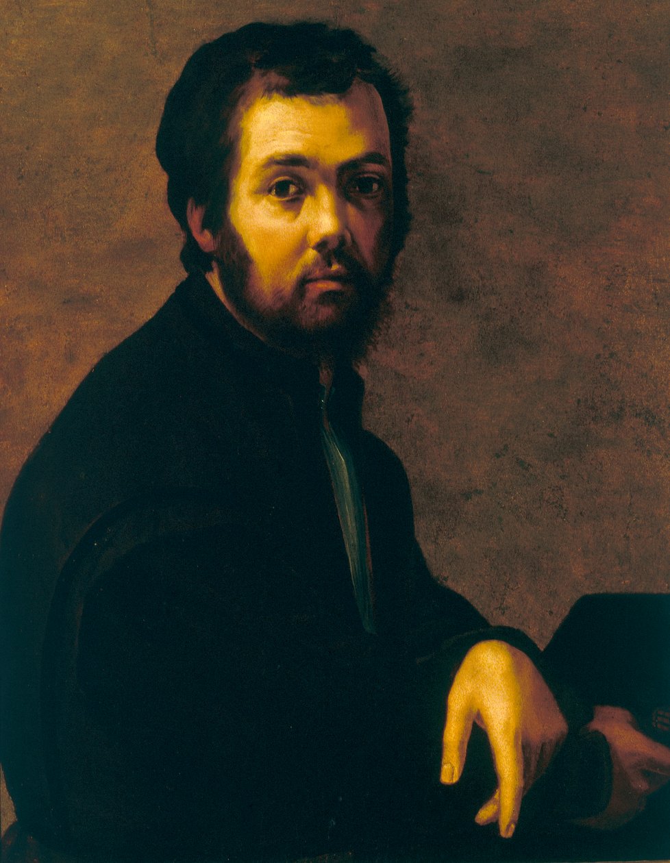 Portret van een man door Francesco de Rossi Salviati Cecchino